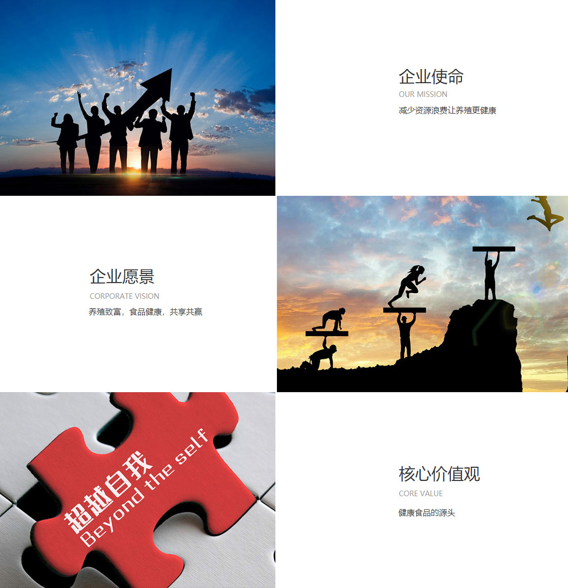 雷火亚洲电竞第一品牌(图1)